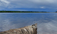 Wild Women's Kayak retreat Paddle