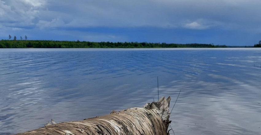 Wild Women's Kayak retreat Paddle